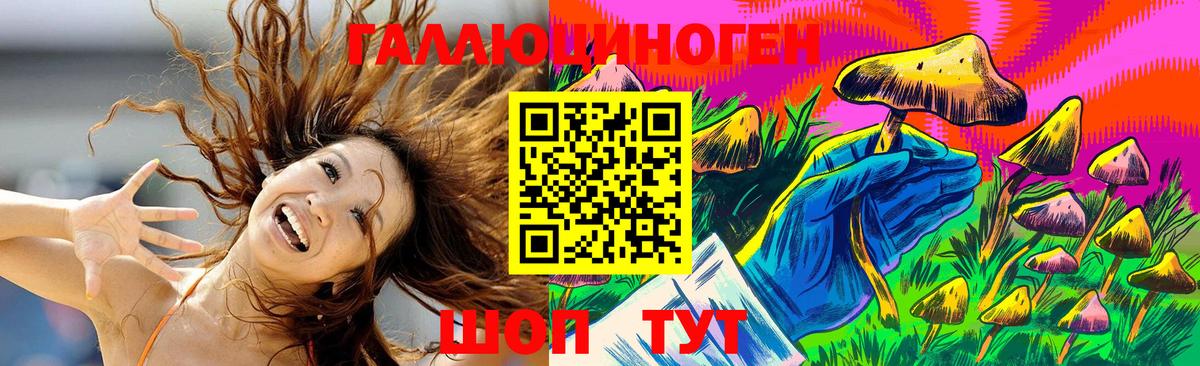 Галлюциногенные грибы Psilocybine cubensis Курчалой